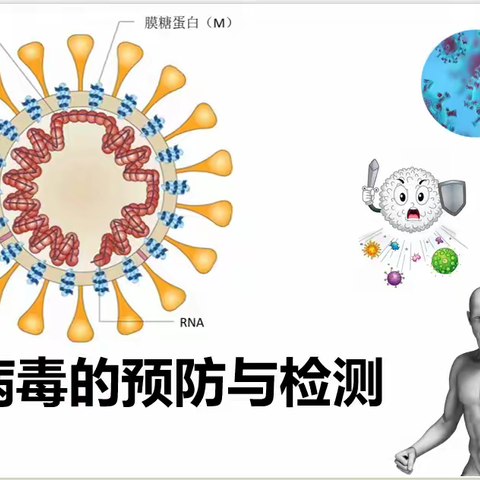 公开课——新冠病毒的预防与检测