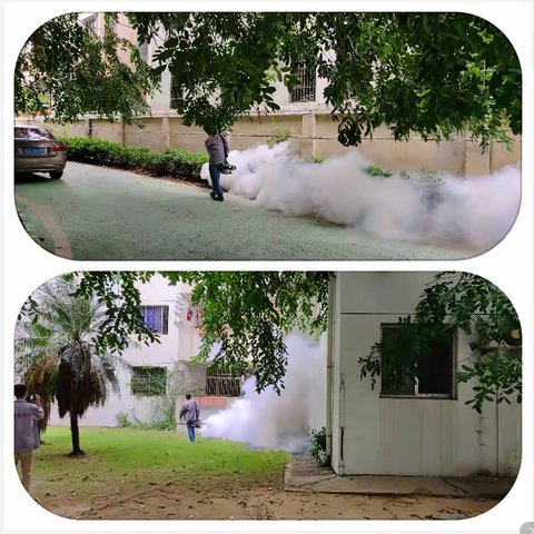 市各燃气企业积极响应，扎实开展“蚊所未蚊”登革热专项防治行动