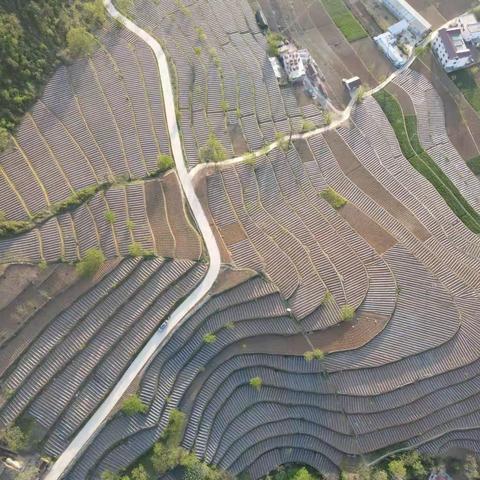 铁厂镇探索“梯田+”发展模式 绘就乡村振兴好“钱景”