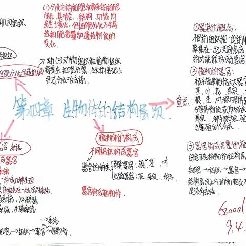 初中生物暑假作业优秀作品展