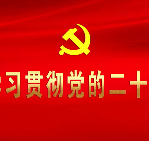 新征程，再出发——深入学习贯彻党的二十大精神