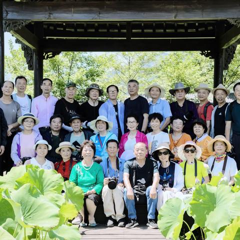 采风武义十里荷花景区