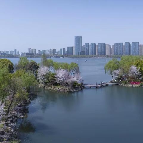 2024年会员获奖作品展示