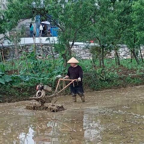 农村记忆2：抢水打田