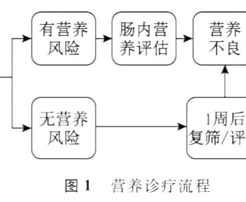 新冠肺炎患者营养治疗