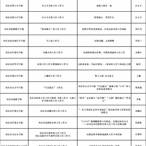 重庆之行11月11日下午第二分会场