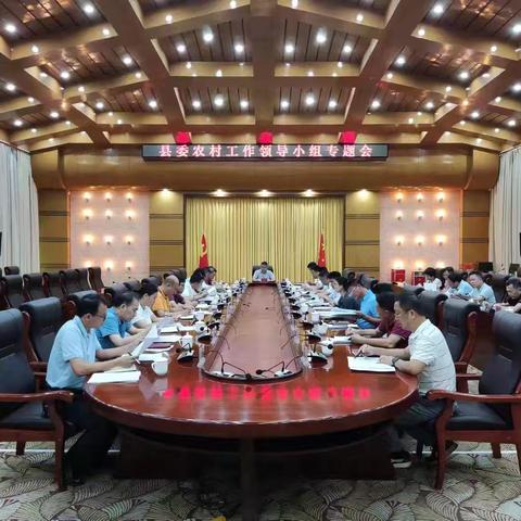 乐东召开2024年县委农村工作领导小组专题会议