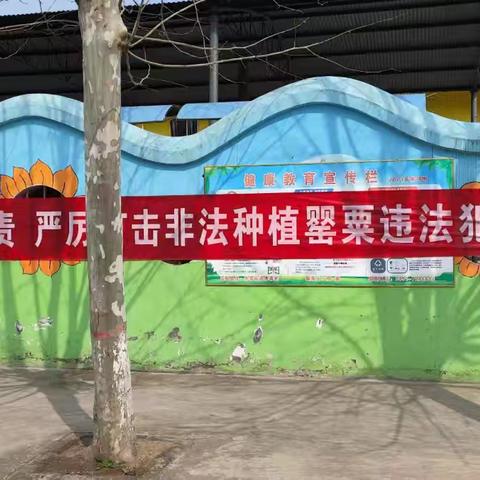 宣传禁毒法律知识 共建无毒美好家园