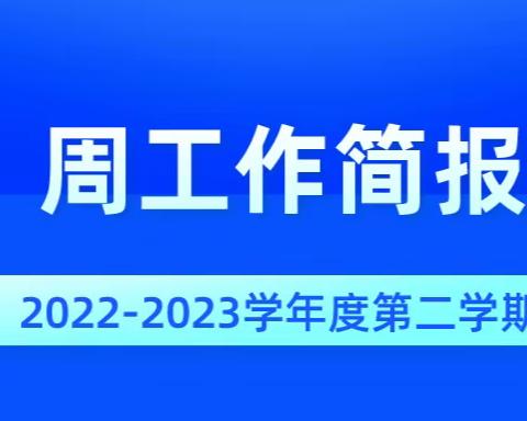 第十二、十三周工作简报