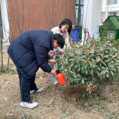 植树节活动