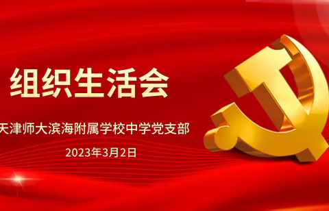 天津师大滨海附属学校中学党支部2023年3月组织生活会