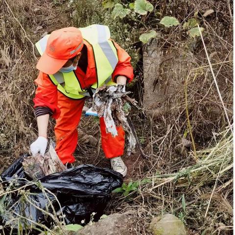 提升城市管理水平，建设洁净宜居环境——【沙区环卫处】