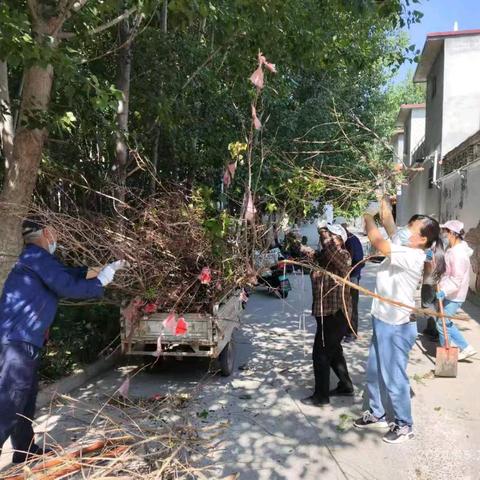 玉清湖街道小李村环境卫生提升——夏季病霉防治