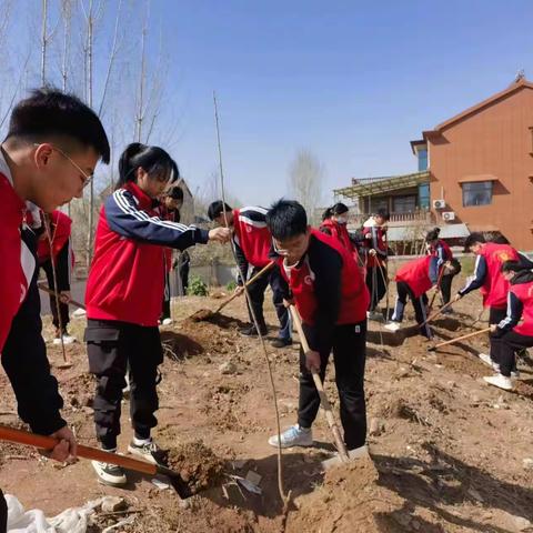 春回大地万物苏，植树添绿正当时——沁阳市实验中学开展植树节活动