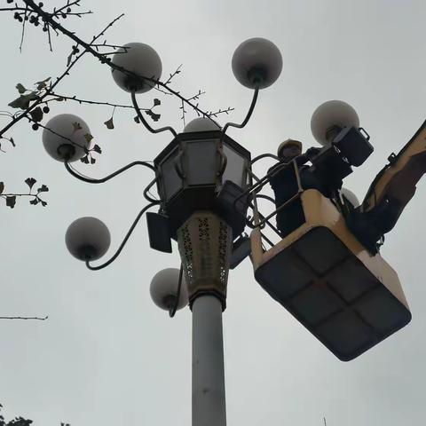 东乡城管——城乡环境整治工作周动态（10.29-11.4）