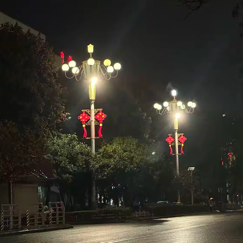 点亮“小路灯”，照亮“大民生” ‍—— 祥明公司开展城区中华灯照明优化提升工程