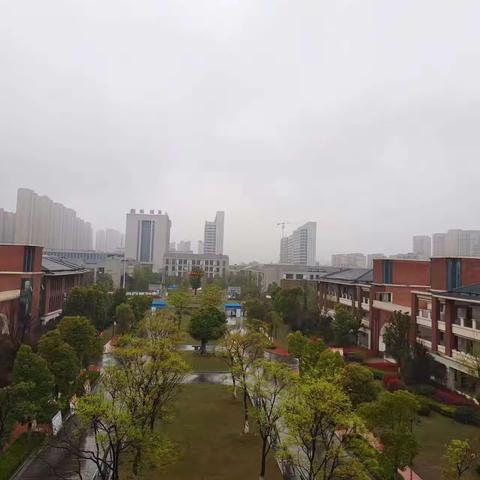 城发智慧物业教育城项目2023年3月工作简报