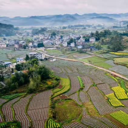 石壁镇：红色文旅融合 赋能乡村振兴