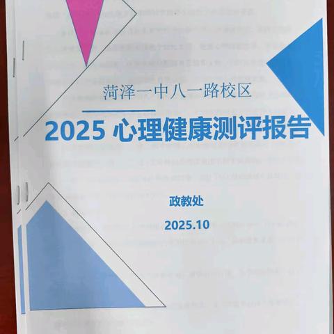 2025学生心理健康测评报告