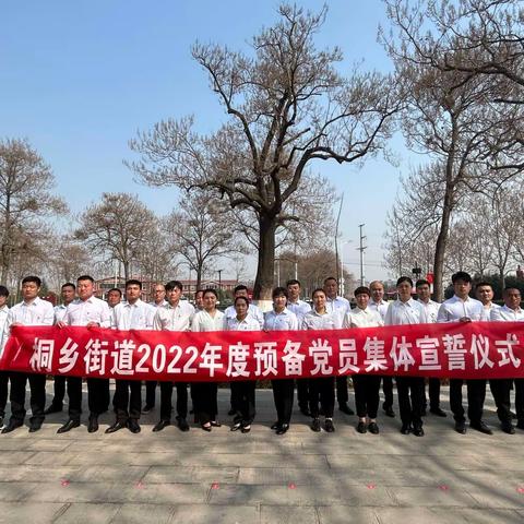 桐乡街道组织开展2022年度预备党员入党宣誓仪式暨教育培训实践活动