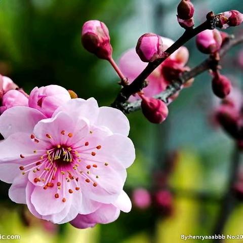 运动凝聚正能量 健康放飞新梦想 	——吴川一中举办2025年元旦“正德杯”教职工运动会