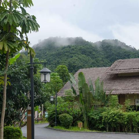 福利！ 保亭这些地方为老师送出游优惠啦~