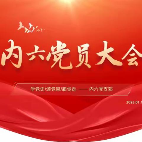 丽水市中心医院内六党支部组织召开支部大会