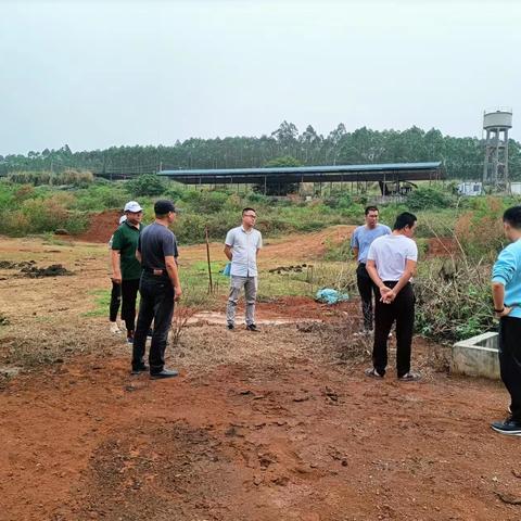 县农业农村局赴临高临城红蜜水果家庭农场、海南临高东旭牧业发展有限公司指导生态农场创建工作