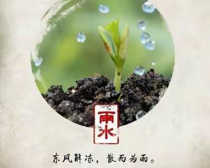 雨水至，万物生——正定县开元小学二十四节气实践活动之雨水