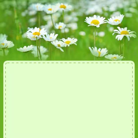 “数字赋能，共育未来”——记长庆二中高2024届教师辅立码课培训会