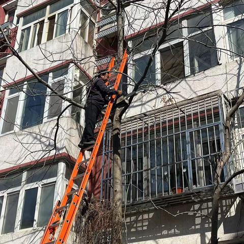 【接诉即办】“社区吹哨 部门报到”——花园路街道牤牛桥社区联合街道综合应急服务队修剪遮光树枝