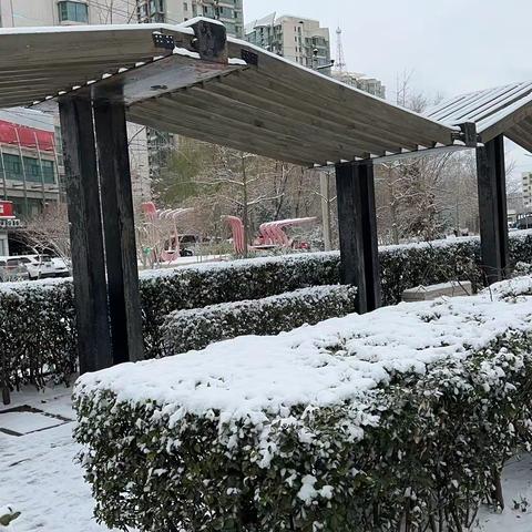 踏雪除冰，冲锋在前