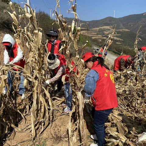 宜君县档案局党支部 开展“助农秋收解民忧，贴心服务暖人心”志愿服务活动