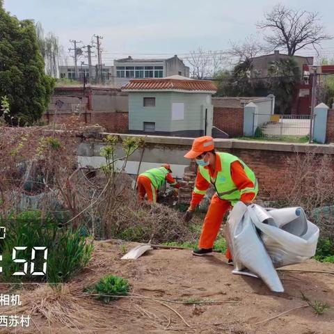 【西咸新区王寺街道】人居环境大提升 美丽乡村入画来