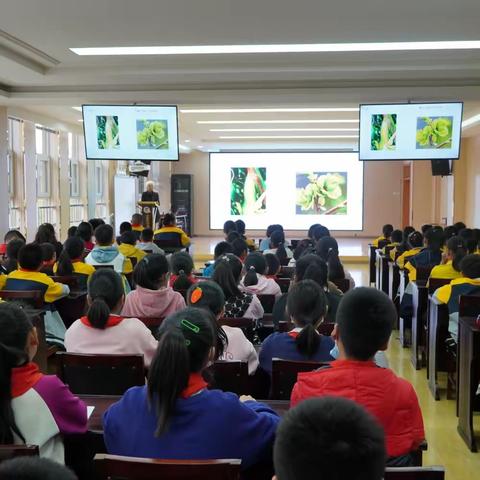 【石家庄市友谊大街小学西校】五老进校园，共助成长梦