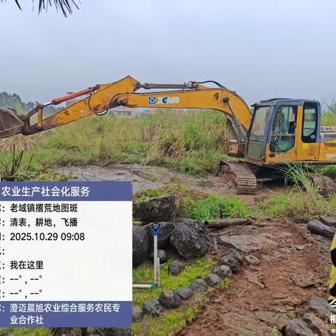 老城镇多措并举使撂荒地生新绿，“眠田”变成“希望田”