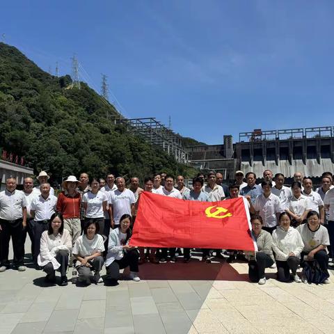 武义县水务局党支部开展“重温‘三自’精神，争当新时代水电先锋”七一主题党日活动