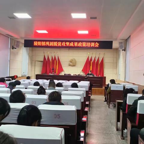 加大政策宣传力度  巩固脱贫攻坚成果