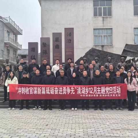 冲刺收官谋新篇 砥砺奋进勇争先——清湖乡开展12月主题党日活动