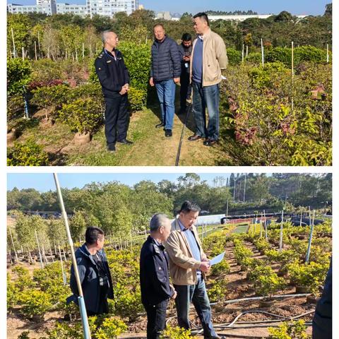 石岩街道安全生产工作情况（12月17日）