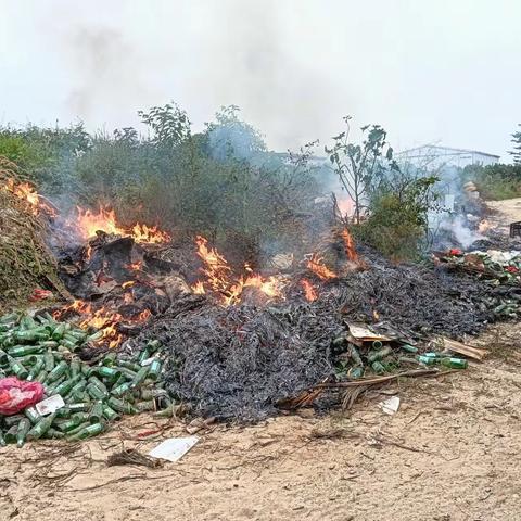 板桥镇老方村网格员持续开展巡查禁止焚烧秸秆工作