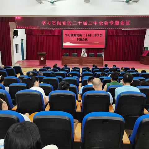 学习贯彻党的二十届三中全会专题会议简报