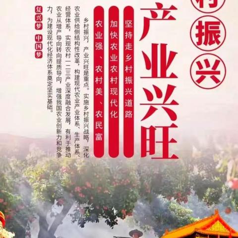 【“三抓三促”行动进行时】【滴管辣椒】【节水又增收】让乡亲们的日子“火辣辣”