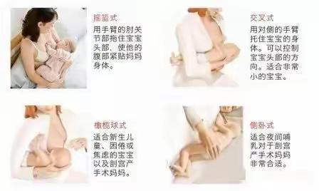 向阳花的文章哺乳的姿势