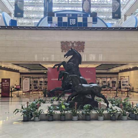 磁县溢泉湖湿地摄影大赛获奖作品荣展邯郸市博物馆