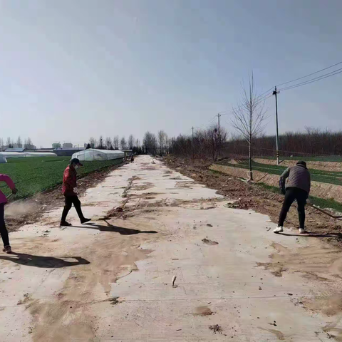 浚县浚州街道： 强化道路路肩培护提升人居环境