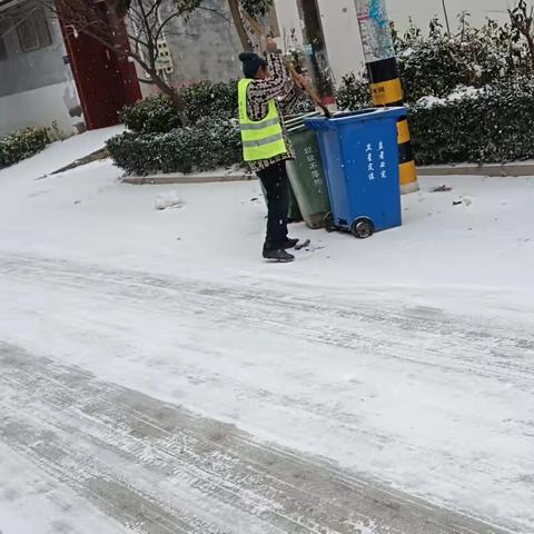 以雪为令，闻雪而动