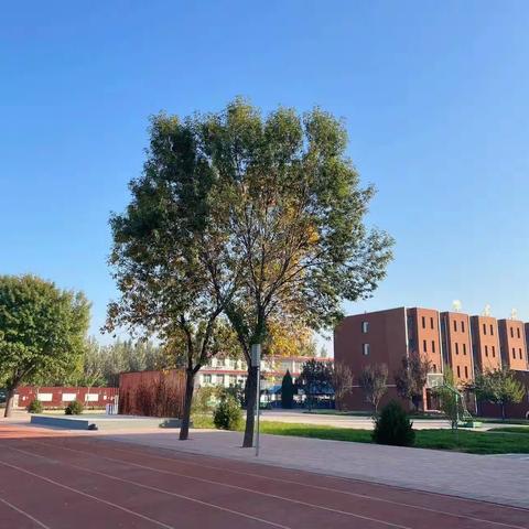 师道传承念初心，青年教师展风采——2023鹿泉青年教师优质课评比李村镇中学站活动