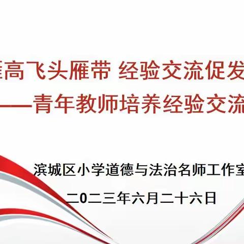 群雁高飞头雁带 经验交流促发展 ——滨城区小学道德与法治名师工作室青年教师培养经验交流会