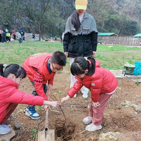 航北社区关工小组：“植”此青绿  共赋“青山”